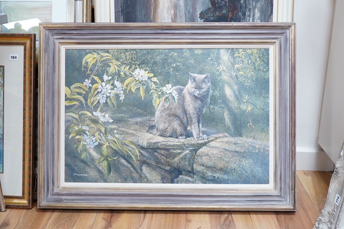 Paul Monteagle (Contemporary), Study of a cat amongst flowers, signed, Llewellyn Alexander, London, inscribed label verso, oil on canvas, 49 x 74cm